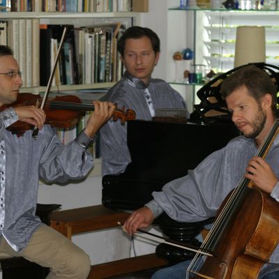 Yury Martynov official Website | Playel trio
